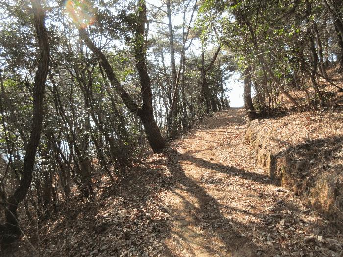 경상남도 거제시 덕포동 산19-1 임야 경매 사진 2