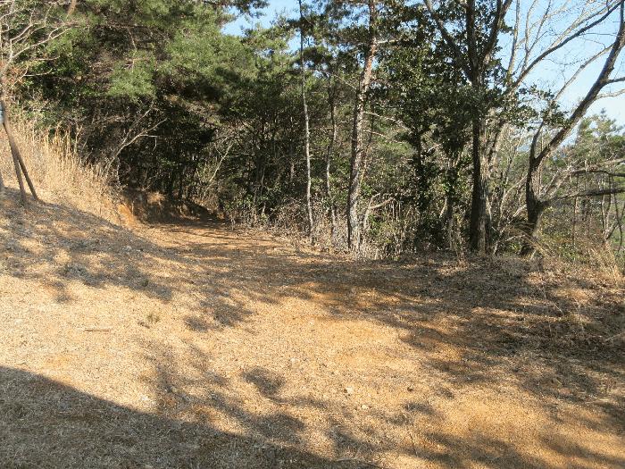 경상남도 거제시 덕포동 산19-1 임야 경매 사진 8