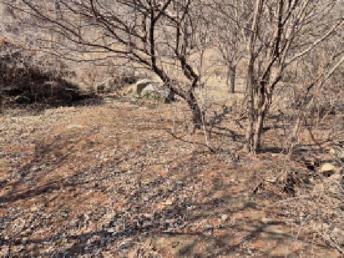 경상남도 고성군 동해면 장좌리 산120-2 임야 경매 사진 12