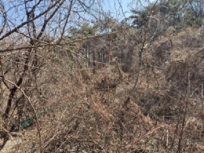 경상남도 고성군 동해면 장좌리 산120-2 임야 경매 사진 13