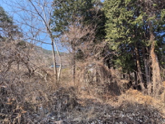경상남도 고성군 동해면 장좌리 산120-2 임야 경매 사진 19