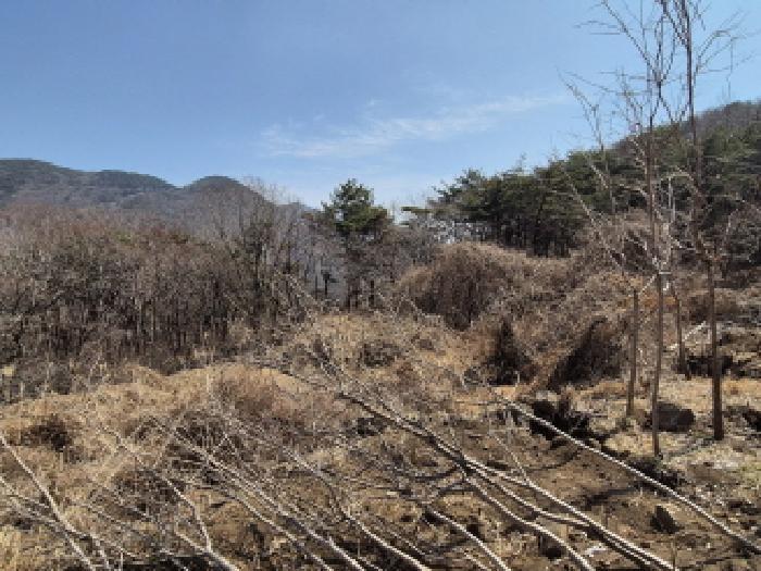 경상남도 고성군 동해면 장좌리 산120-2 임야 경매 사진 25