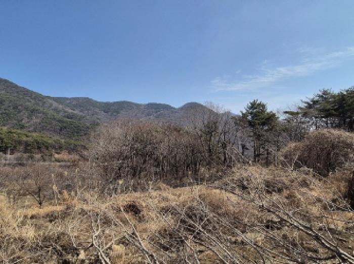 경상남도 고성군 동해면 장좌리 산120-2 임야 경매 사진 27