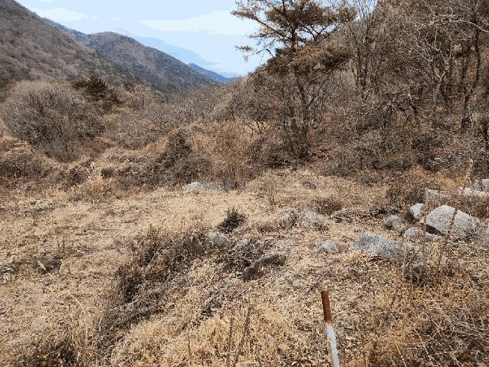 경상남도 고성군 동해면 장좌리 산120-2 임야 경매 사진 3