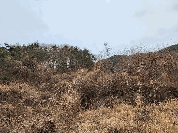 경상남도 고성군 동해면 장좌리 산120-2 임야 경매 사진 5