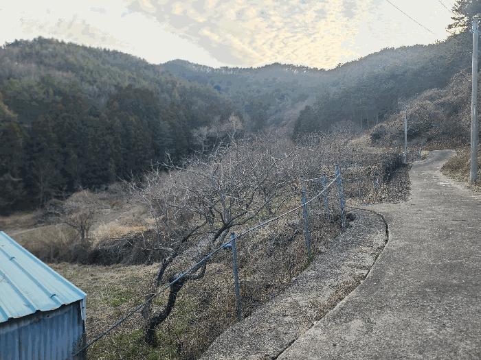 경상남도 통영시 도산면 오륜리 260-1 전 경매 사진 13