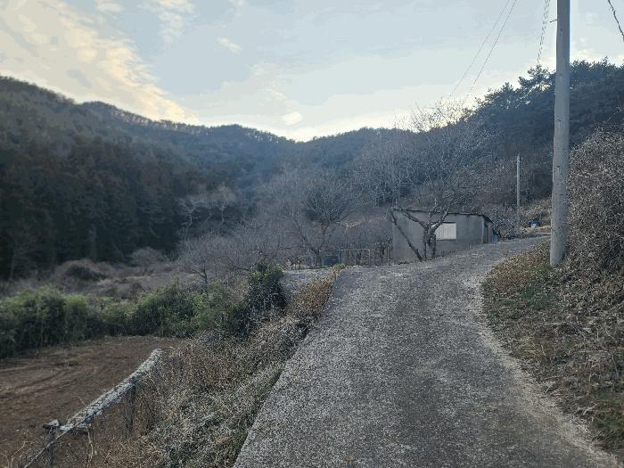 경상남도 통영시 도산면 오륜리 260-1 전 경매 사진 14
