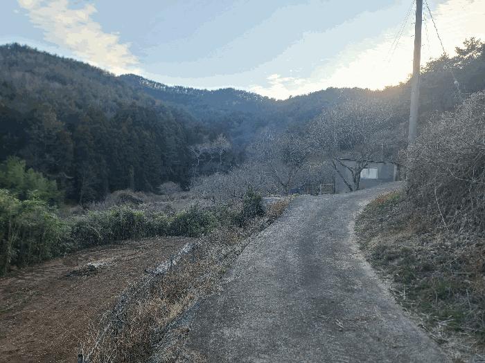 경상남도 통영시 도산면 오륜리 260-1 전 경매 사진 9