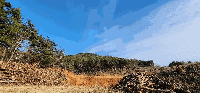 경상남도 고성군 삼산면 미룡리 산241-1 임야 경매 사진 2