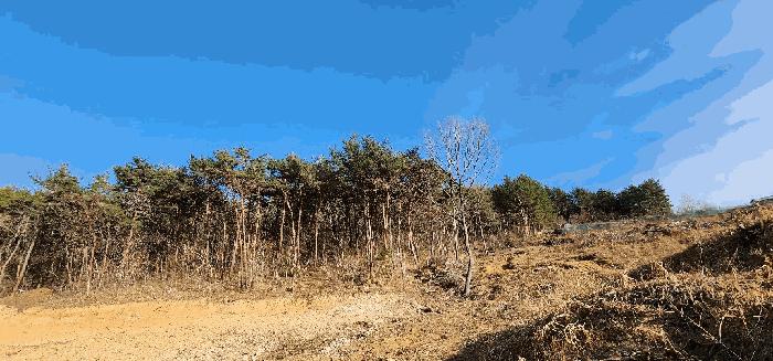 경상남도 고성군 삼산면 미룡리 산241-1 임야 경매 사진 3
