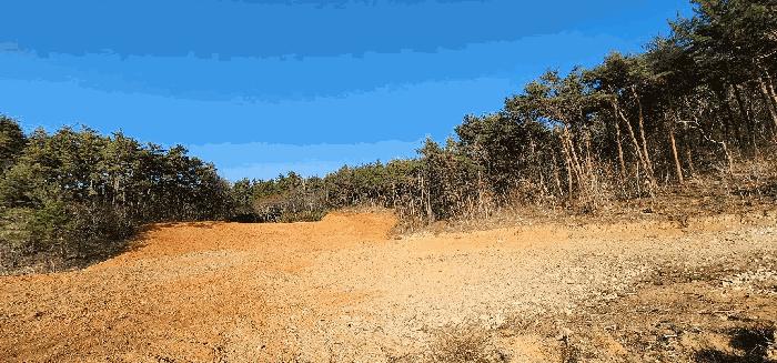 경상남도 고성군 삼산면 미룡리 산241-1 임야 경매 사진 4