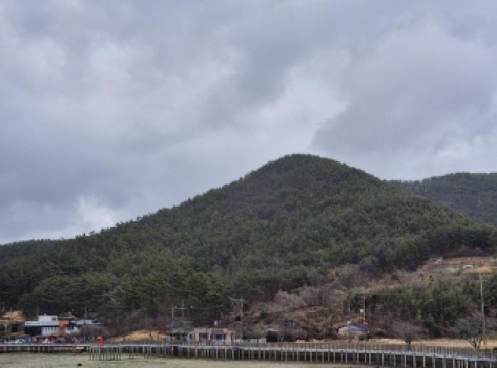 경상남도 고성군 삼산면 미룡리 산241-1 임야 경매 사진 6