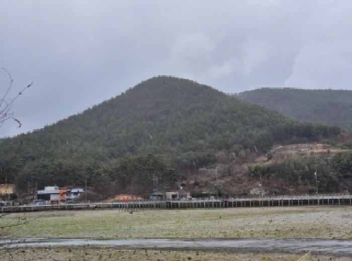 경상남도 고성군 삼산면 미룡리 산241-1 임야 경매 사진 7