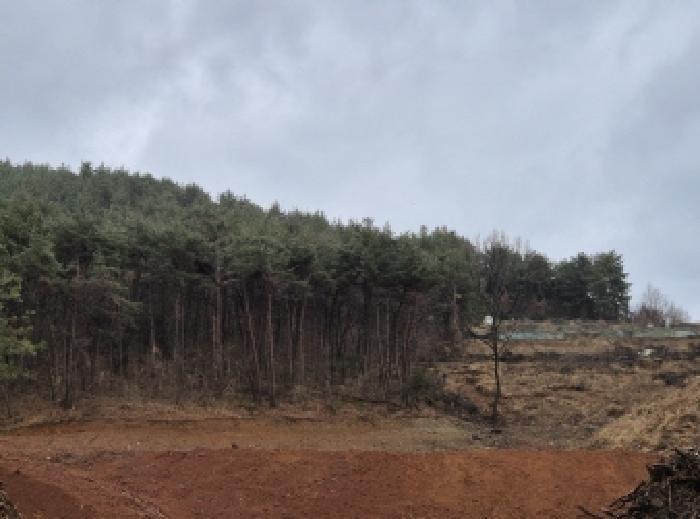 경상남도 고성군 삼산면 미룡리 산241-1 임야 경매 사진 8