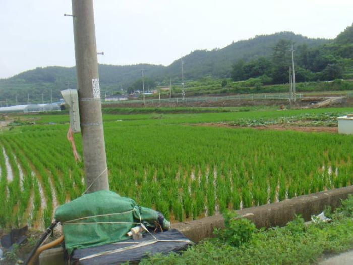 전라남도 해남군 송지면 가차리 산8 임야 경매 사진 14
