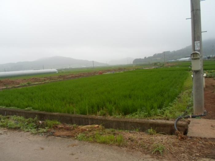 전라남도 해남군 송지면 가차리 산8 임야 경매 사진 5