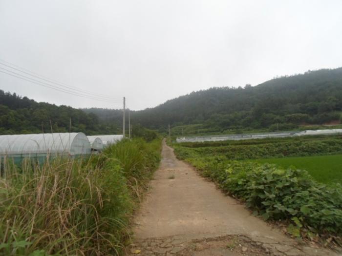 전라남도 해남군 송지면 가차리 산8 임야 경매 사진 7