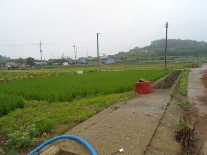 전라남도 해남군 송지면 가차리 산8 임야 경매 사진 9