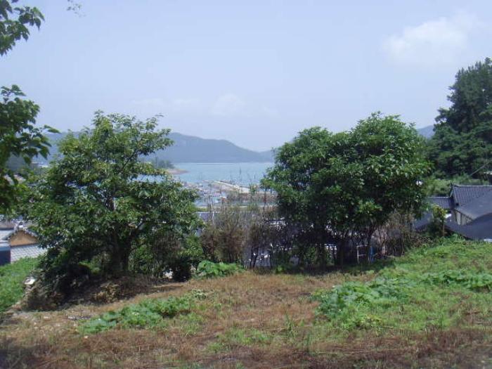 전라남도 완도군 노화읍 동천리 268 전 경매 사진 22