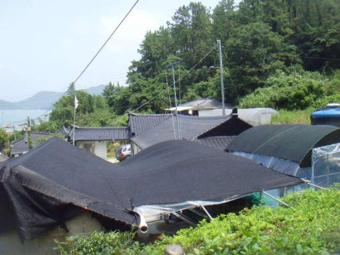 전라남도 완도군 노화읍 동천리 268 전 경매 사진 9