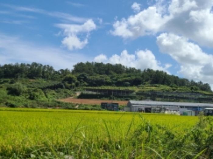 전라남도 해남군 문내면 서상리 636 전 경매 사진 5
