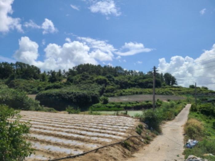 전라남도 해남군 문내면 서상리 636 전 경매 사진 6