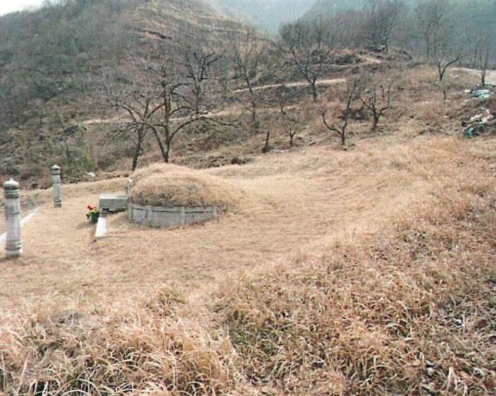 경상남도 산청군 시천면 내공리 산108-5 임야 경매 사진 17