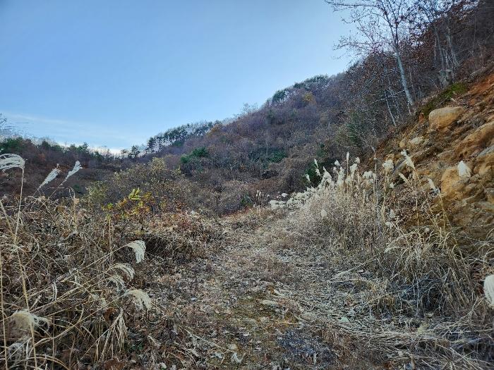 경상남도 산청군 시천면 내공리 산108-5 임야 경매 사진 18