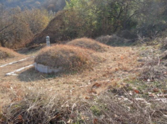 경상남도 산청군 시천면 내공리 산108-5 임야 경매 사진 26