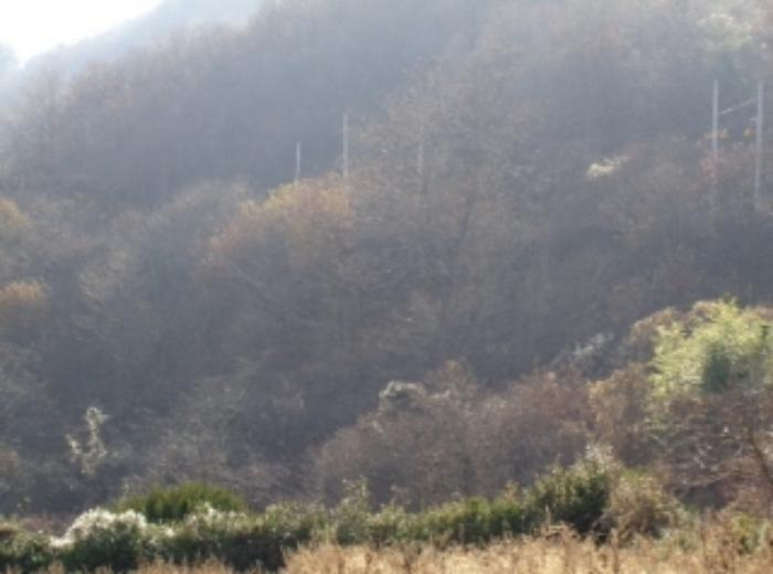 경상남도 산청군 시천면 내공리 산108-5 임야 경매 사진 29
