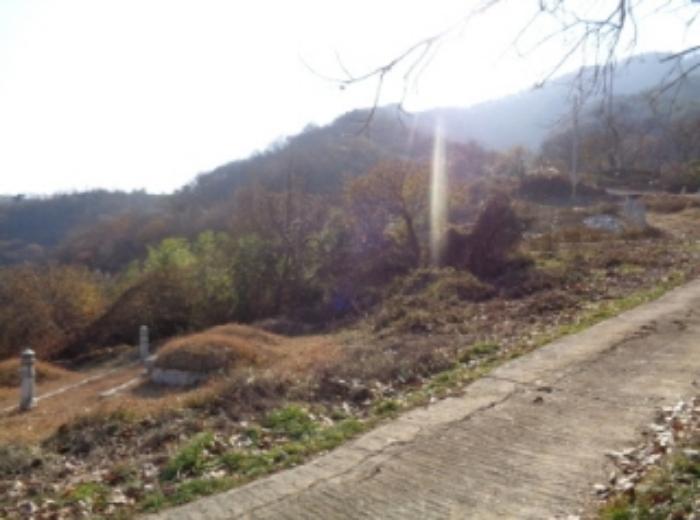 경상남도 산청군 시천면 내공리 산108-6 임야 경매 사진 21