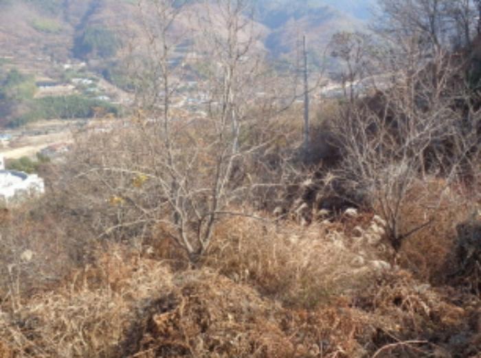 경상남도 산청군 시천면 내공리 산108-6 임야 경매 사진 22