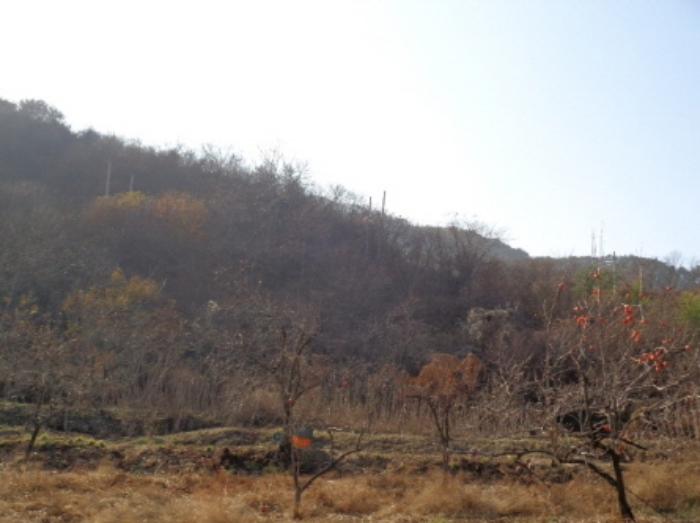 경상남도 산청군 시천면 내공리 산108-6 임야 경매 사진 28