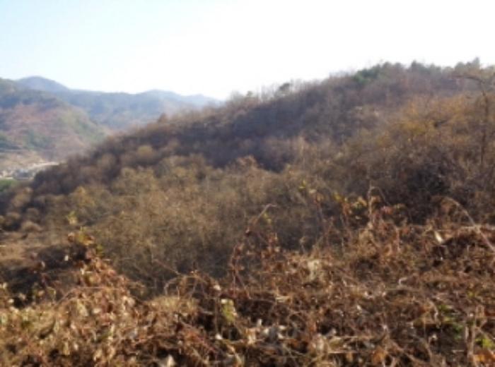 경상남도 산청군 시천면 내공리 산108-6 임야 경매 사진 30