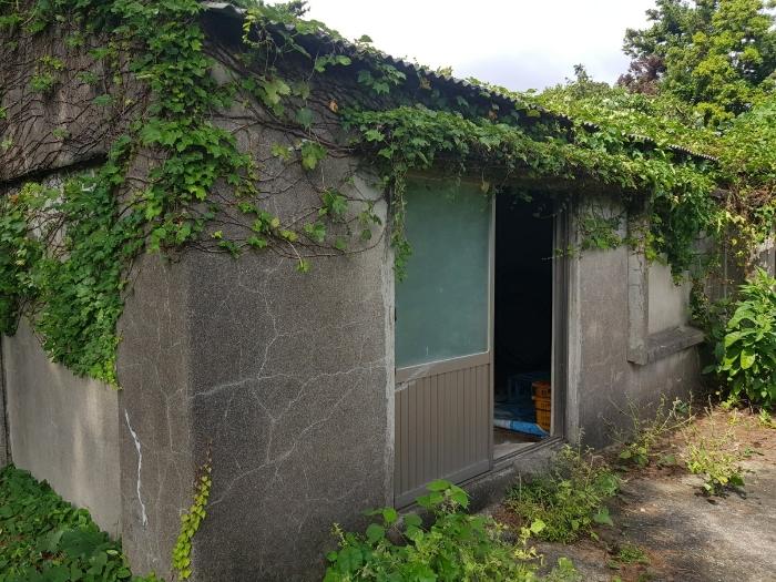 제주특별자치도 서귀포시 성산읍 고성리 2387-1 과수원 경매 사진 10