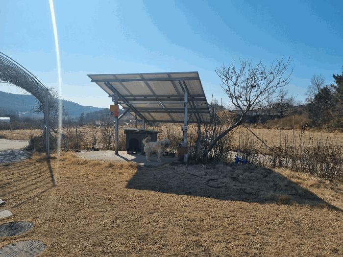충청남도 보령시 남포면 제석리 194 주택 경매 사진 6