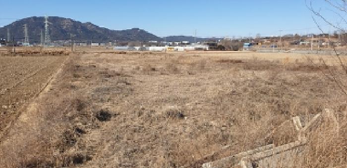 충청남도 홍성군 홍성읍 내법리 17-10 답 경매 사진 41