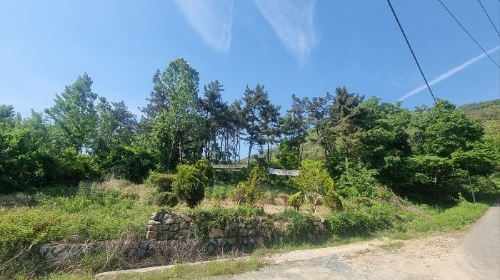 경상남도 김해시 한림면 안곡리 산17 임야 경매 사진 1
