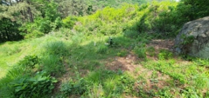 경상남도 김해시 한림면 안곡리 산17 임야 경매 사진 21