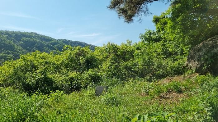 경상남도 김해시 한림면 안곡리 산17 임야 경매 사진 5