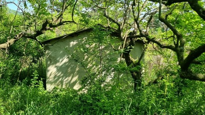 경상남도 김해시 한림면 안곡리 산17 임야 경매 사진 8
