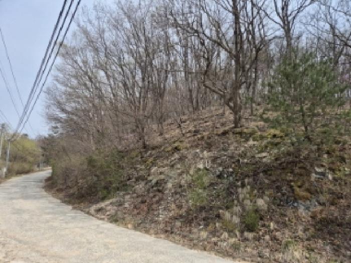 경상북도 경주시 산내면 내일리 산448-3 임야 경매 사진 5