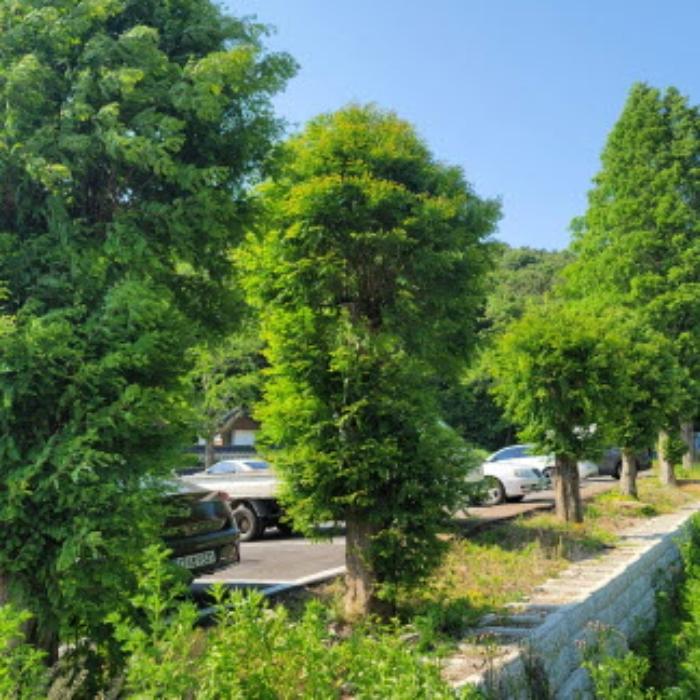 경기도 파주시 법원읍 법원리 389-1 근린주택 경매 사진 40