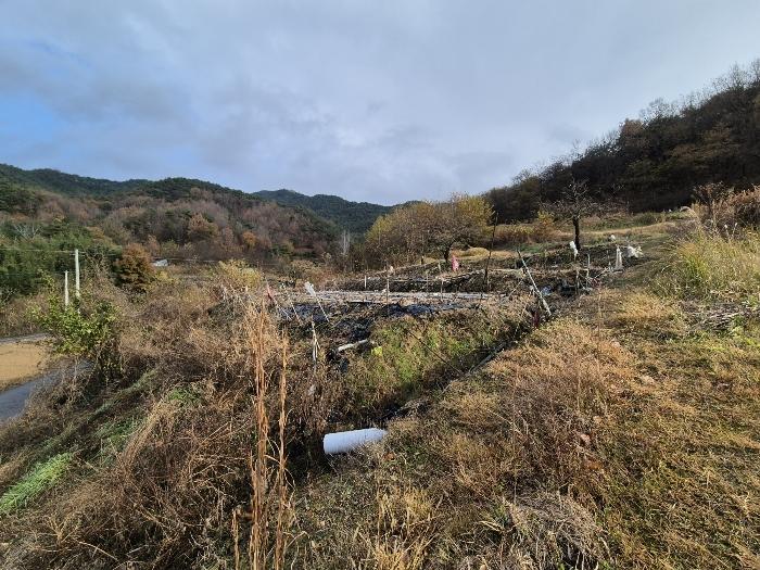 전라남도 곡성군 고달면 목동리 39 전 경매 사진 3
