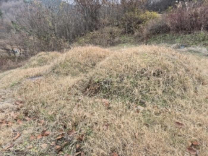 전라남도 곡성군 고달면 목동리 39 전 경매 사진 5