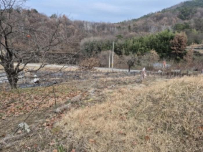 전라남도 곡성군 고달면 목동리 39 전 경매 사진 6