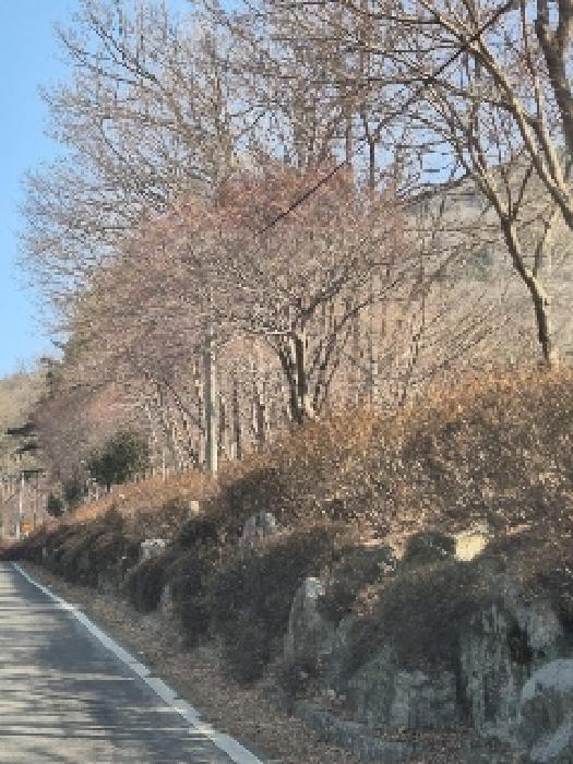 전라남도 화순군 화순읍 유천리 2-4 전 경매 사진 5