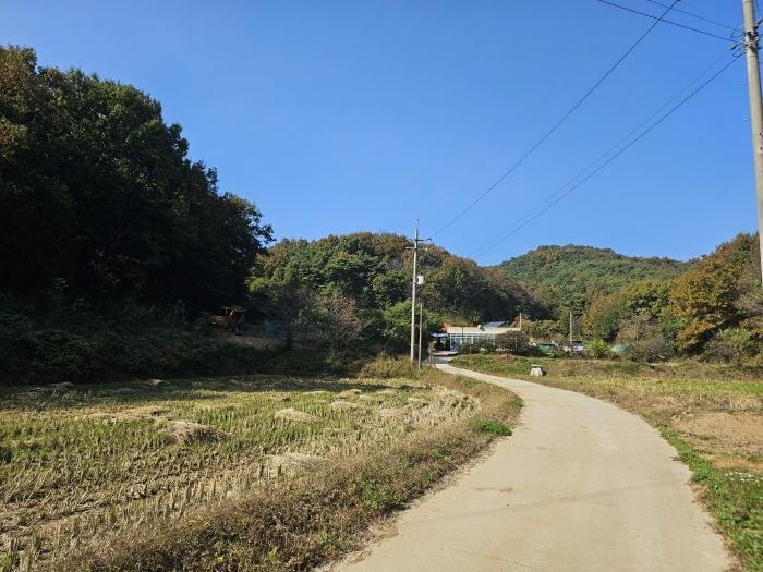 충청남도 당진시 고대면 옥현리 산298-6 임야 경매 사진 1