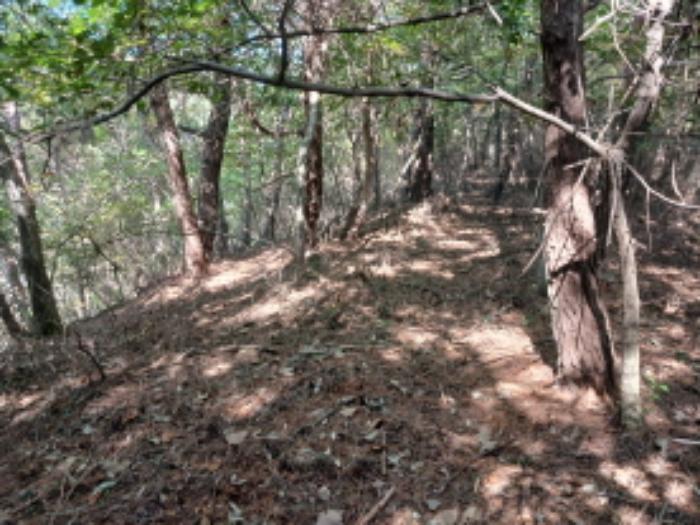 충청남도 당진시 고대면 옥현리 산298-6 임야 경매 사진 11