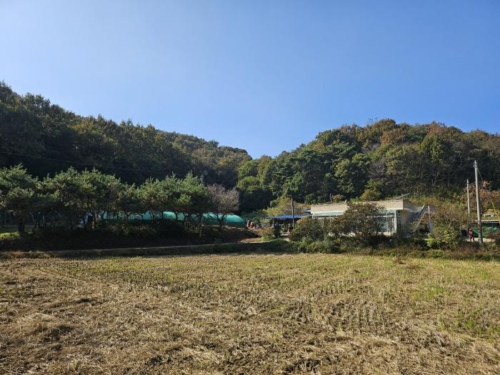충청남도 당진시 고대면 옥현리 산298-6 임야 경매 사진 3